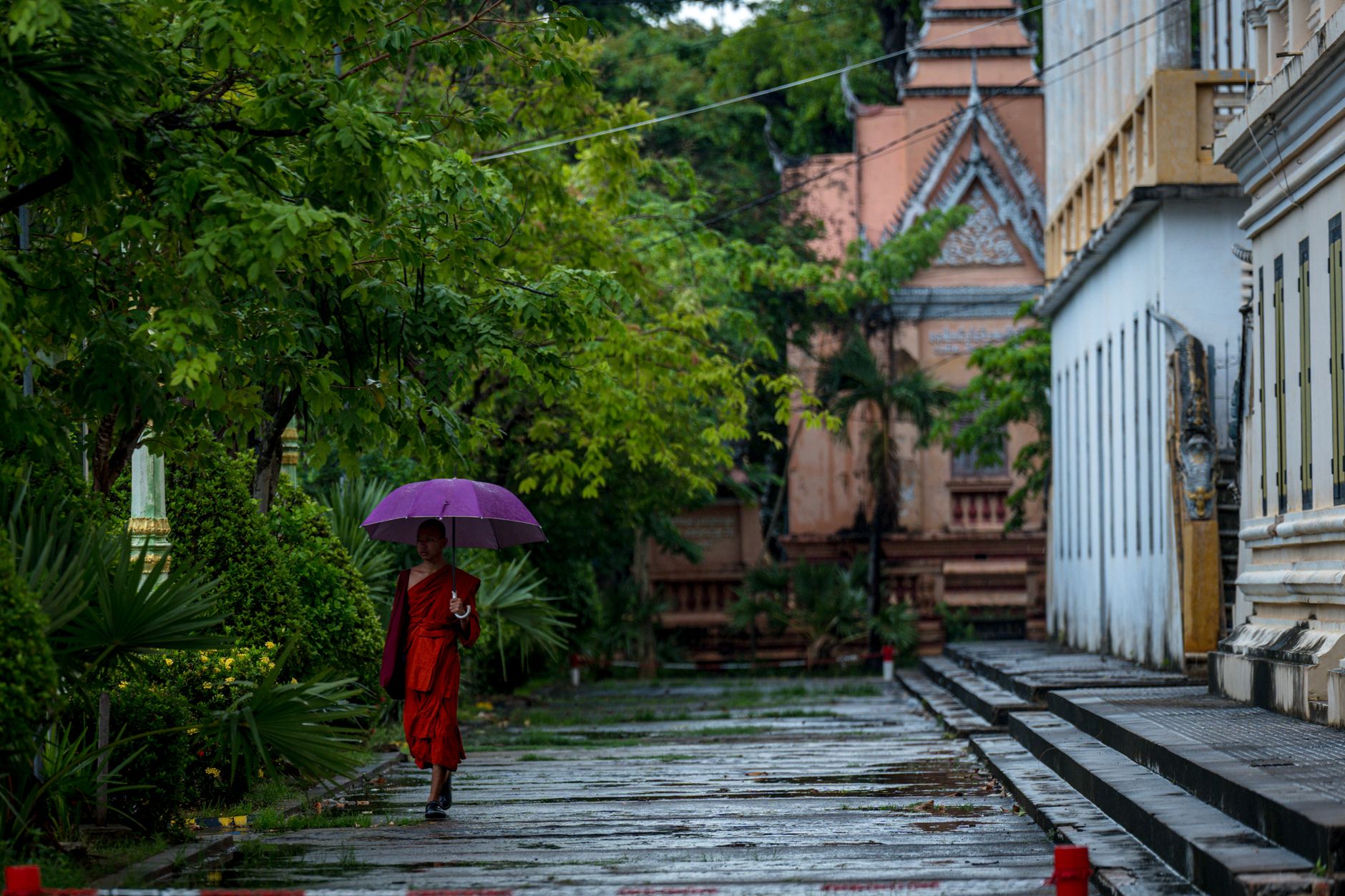 Chư Tăng tọa thiền trong mùa an cư kiết hạ tại chùa