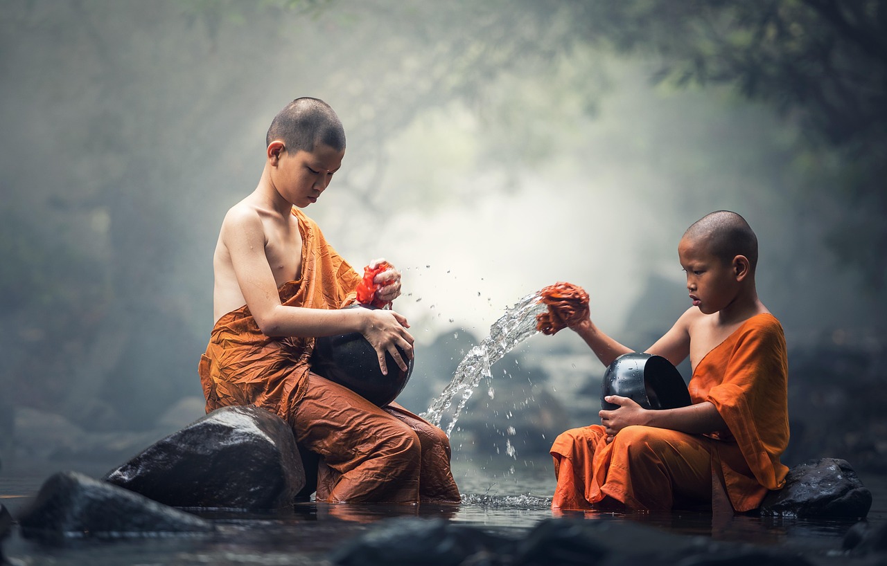 Vị tỳ kheo ngồi thiền trong rừng lúc bình minh