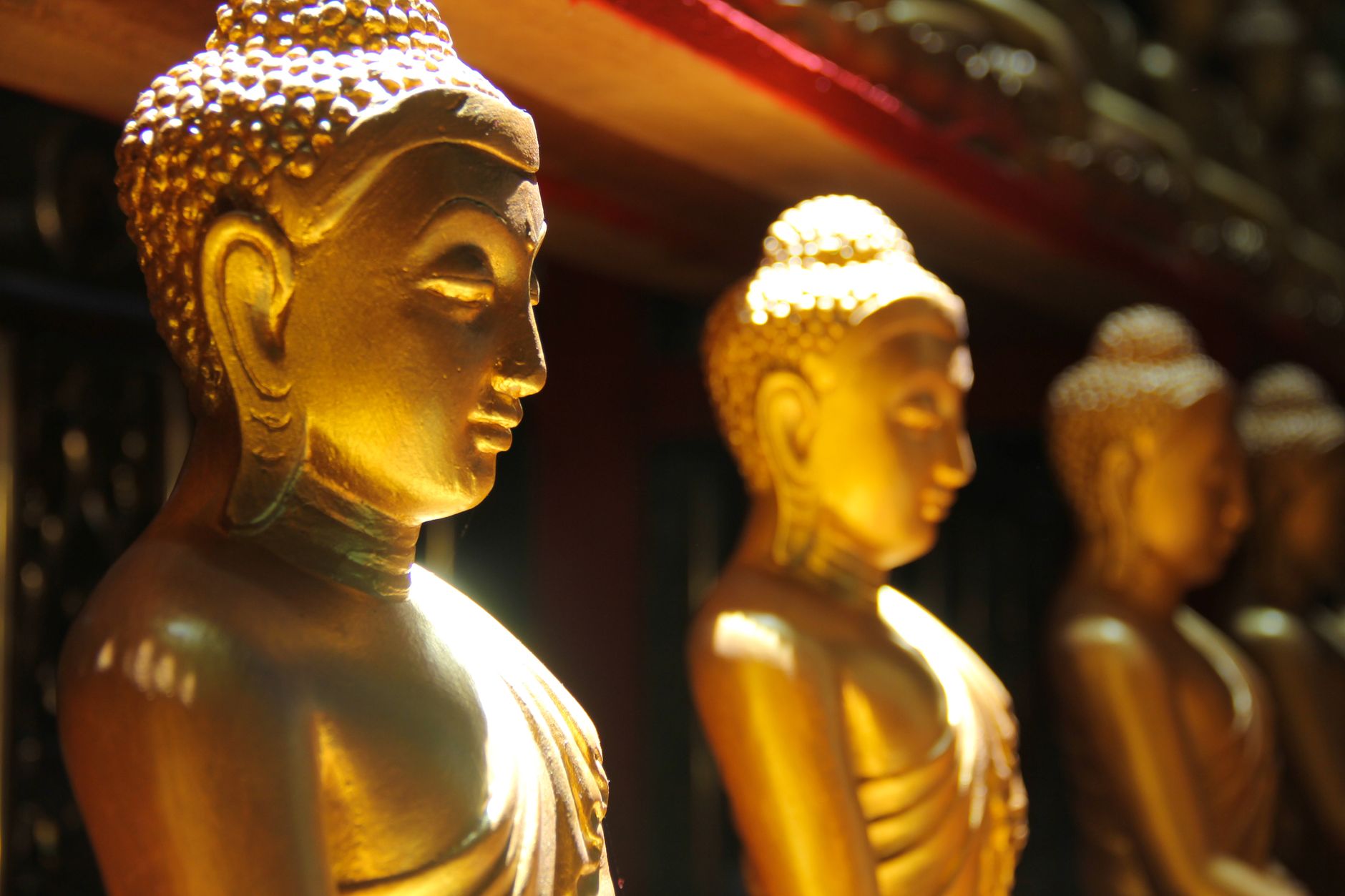 Tượng chư Phật trang nghiêm trong ánh sáng tịnh độ