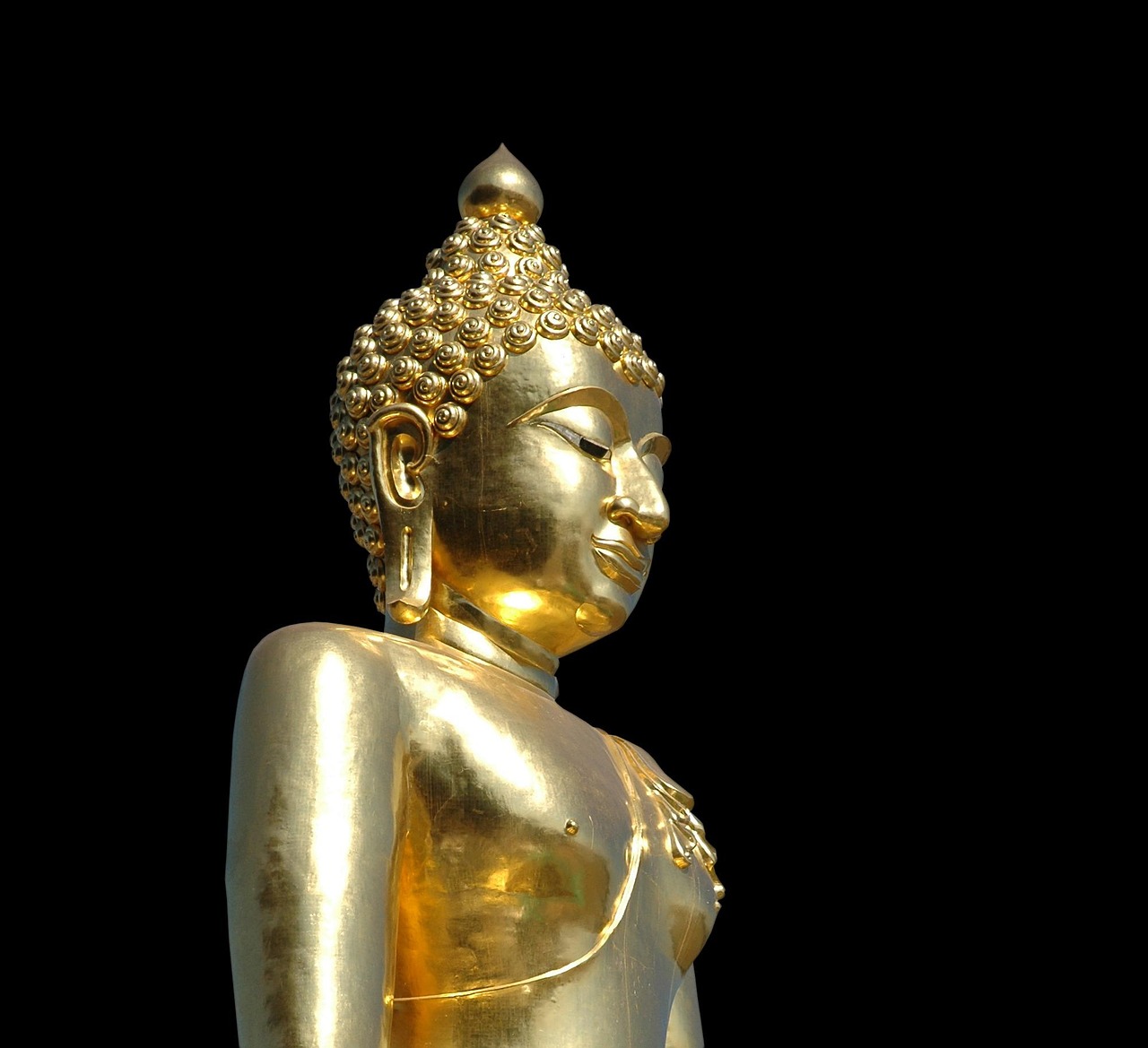 Tôn tượng Đức Phật A Di Đà trang nghiêm