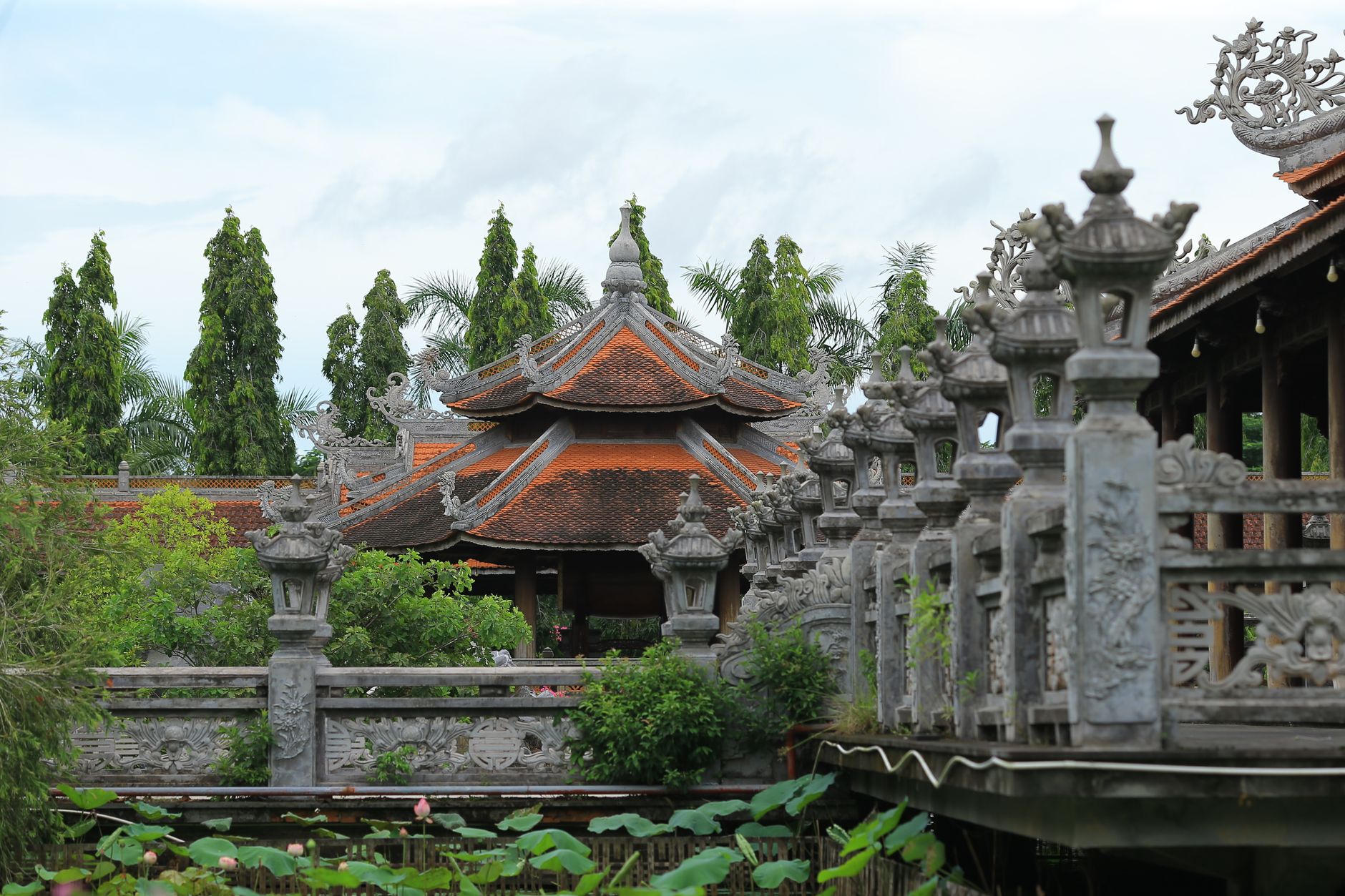 Hồ sen tĩnh lặng buổi bình minh trước sân chùa