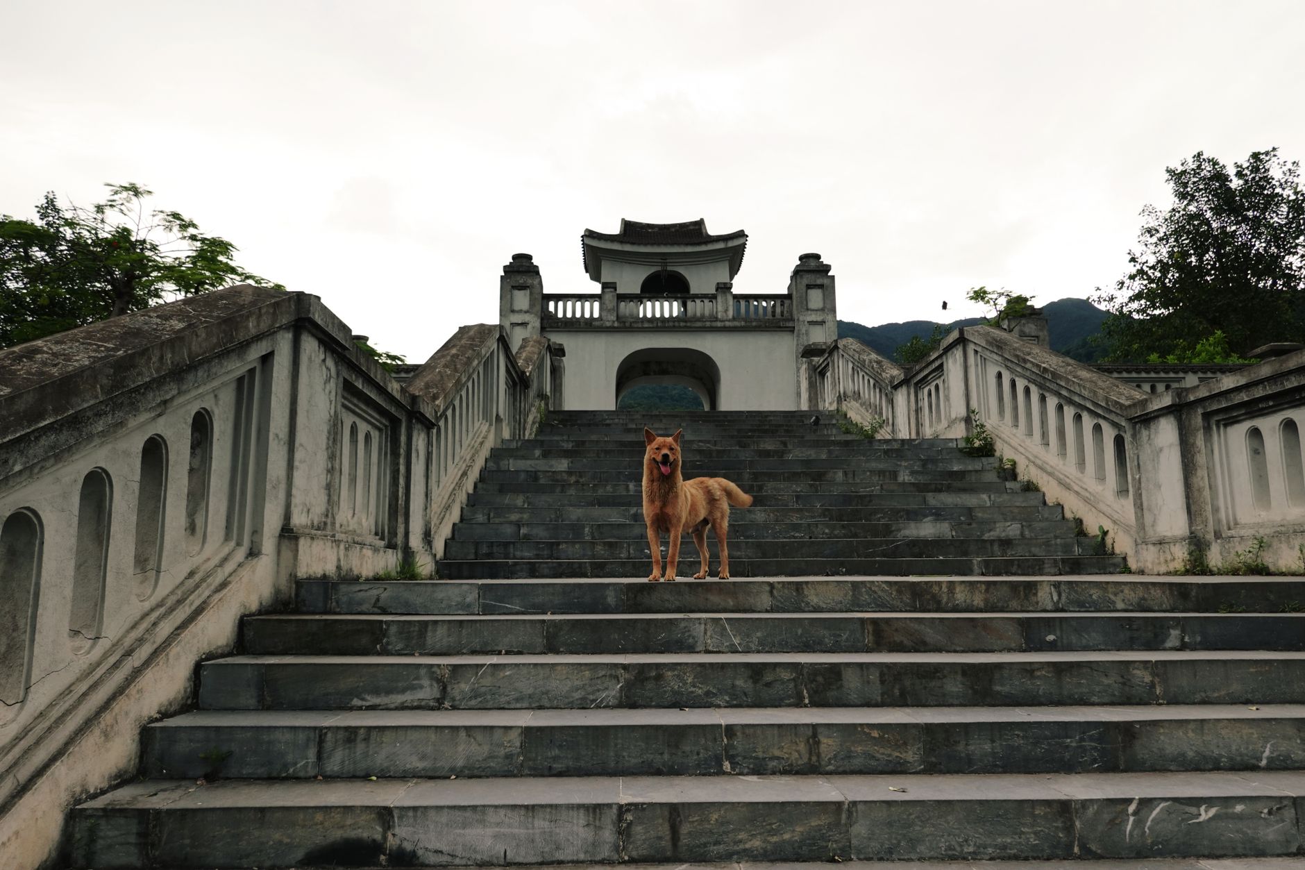 Chùa trên núi Yên Tử trong sương sớm