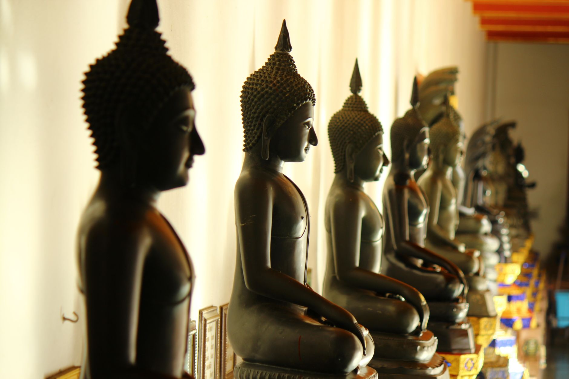 Sắc thân pháp thân là gì? Phân biệt thân sinh diệt và thân thường trụ