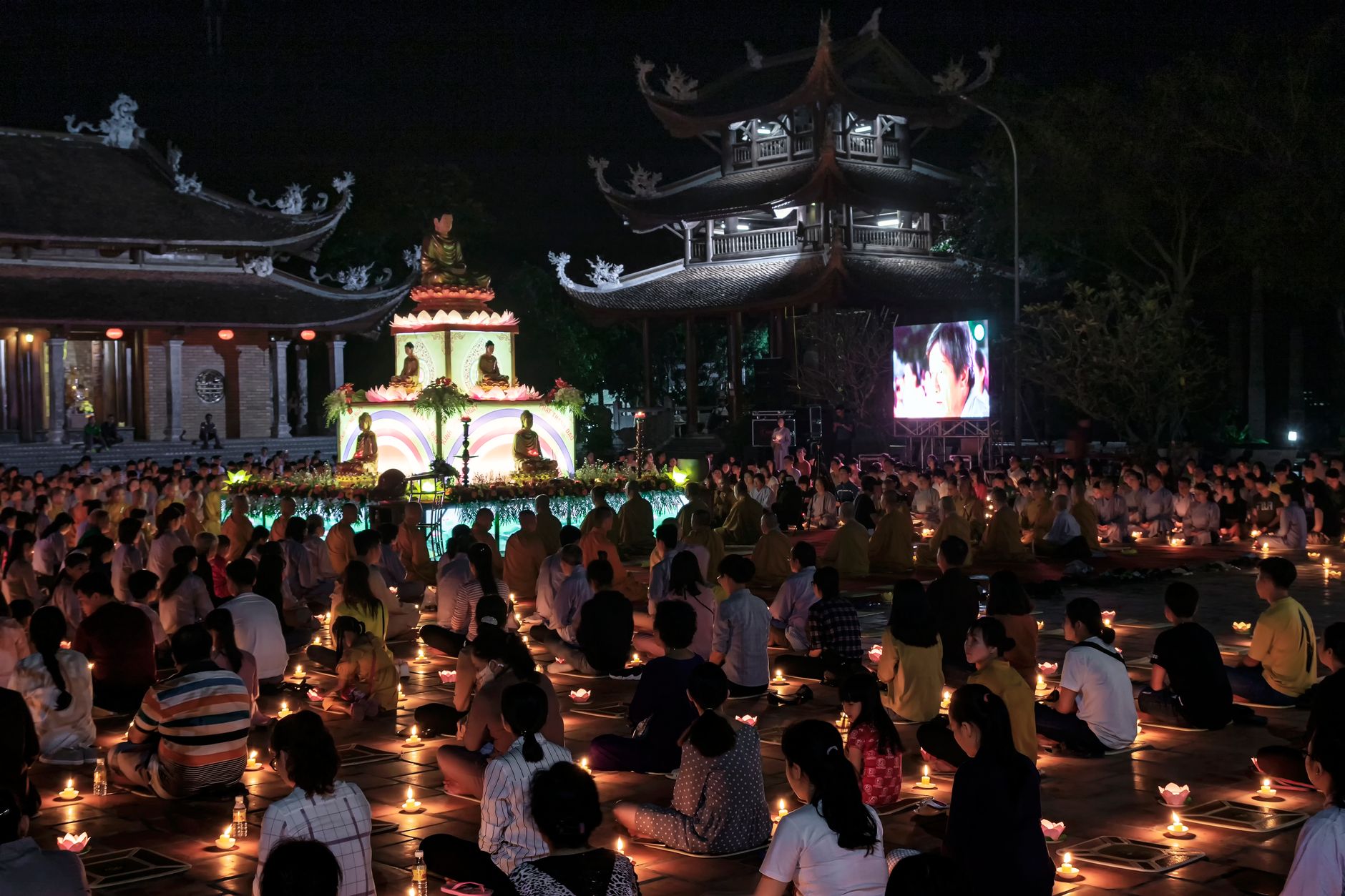 Hoa sen thanh tịnh trong cảnh chùa yên tĩnh