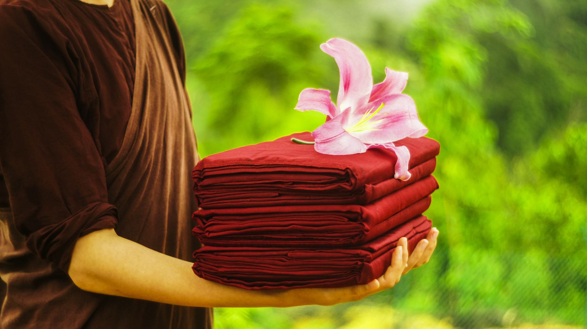 Hai bàn tay nâng đóa sen trong ánh sáng dịu nơi chánh điện