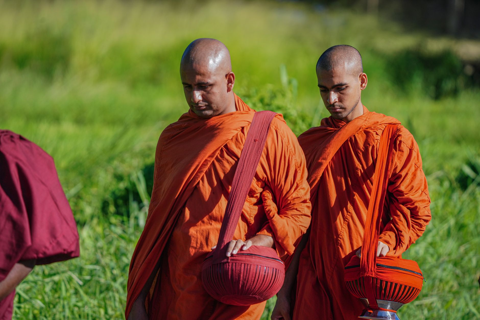 Chư Tăng đắp y vàng đi khất thực